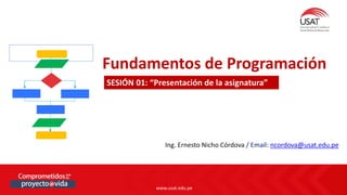 www.usat.edu.pe
www.usat.edu.pe
Fundamentos de Programación
SESIÓN 01: “Presentación de la asignatura”
Ing. Ernesto Nicho Córdova / Email: ncordova@usat.edu.pe
 