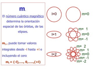 m.
El número cuántico magnético
determina la orientación
espacial de las órbitas, de las
elipses.
ml , puede tomar valores
integrales desde -l hasta +l e
incluyendo el cero
ml = (-l),…., 0,…..,(+l)
 