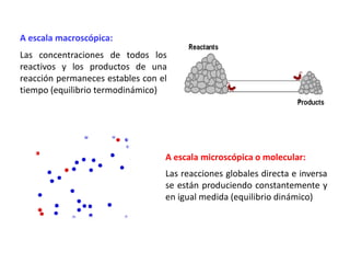A escala macroscópica:
Las concentraciones de todos los
reactivos y los productos de una
reacción permaneces estables con el
tiempo (equilibrio termodinámico)
A escala microscópica o molecular:
Las reacciones globales directa e inversa
se están produciendo constantemente y
en igual medida (equilibrio dinámico)
 