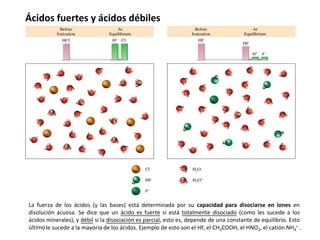 Ácidos fuertes y ácidos débiles
La fuerza de los ácidos (y las bases) está determinada por su capacidad para disociarse en iones en
disolución acuosa. Se dice que un ácido es fuerte si está totalmente disociado (como les sucede a los
ácidos minerales), y débil si la disociación es parcial, esto es, depende de una constante de equilibrio. Esto
últimole sucede a la mayoría de los ácidos. Ejemplo de esto son el HF, el CH3COOH, el HNO2, el catión NH4
+ .
 