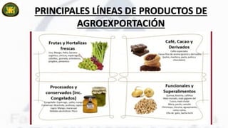 PRINCIPALES LÍNEAS DE PRODUCTOS DE
AGROEXPORTACIÓN
 