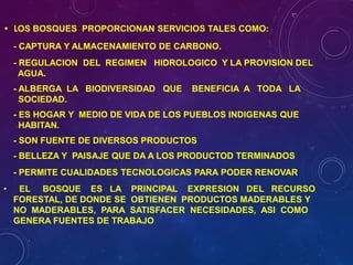 • LOS BOSQUES PROPORCIONAN SERVICIOS TALES COMO:
- CAPTURA Y ALMACENAMIENTO DE CARBONO.
- REGULACION DEL REGIMEN HIDROLOGICO Y LA PROVISION DEL
AGUA.
- ALBERGA LA BIODIVERSIDAD QUE BENEFICIA A TODA LA
SOCIEDAD.
- ES HOGAR Y MEDIO DE VIDA DE LOS PUEBLOS INDIGENAS QUE
HABITAN.
- SON FUENTE DE DIVERSOS PRODUCTOS
- BELLEZA Y PAISAJE QUE DA A LOS PRODUCTOD TERMINADOS
- PERMITE CUALIDADES TECNOLOGICAS PARA PODER RENOVAR
• EL BOSQUE ES LA PRINCIPAL EXPRESION DEL RECURSO
FORESTAL, DE DONDE SE OBTIENEN PRODUCTOS MADERABLES Y
NO MADERABLES, PARA SATISFACER NECESIDADES, ASI COMO
GENERA FUENTES DE TRABAJO
 