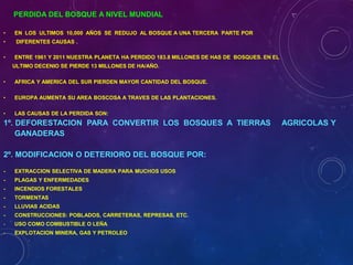 PERDIDA DEL BOSQUE A NIVEL MUNDIAL
• EN LOS ULTIMOS 10,000 AÑOS SE REDUJO AL BOSQUE A UNA TERCERA PARTE POR
• DIFERENTES CAUSAS .
• ENTRE 1961 Y 2011 NUESTRA PLANETA HA PERDIDO 183.8 MILLONES DE HAS DE BOSQUES. EN EL
ULTIMO DECENIO SE PIERDE 13 MILLONES DE HA/AÑO.
• AFRICA Y AMERICA DEL SUR PIERDEN MAYOR CANTIDAD DEL BOSQUE.
• EUROPA AUMENTA SU AREA BOSCOSA A TRAVES DE LAS PLANTACIONES.
• LAS CAUSAS DE LA PERDIDA SON:
1º. DEFORESTACION PARA CONVERTIR LOS BOSQUES A TIERRAS AGRICOLAS Y
GANADERAS
2º. MODIFICACION O DETERIORO DEL BOSQUE POR:
- EXTRACCION SELECTIVA DE MADERA PARA MUCHOS USOS
- PLAGAS Y ENFERMEDADES
- INCENDIOS FORESTALES
- TORMENTAS
- LLUVIAS ACIDAS
- CONSTRUCCIONES: POBLADOS, CARRETERAS, REPRESAS, ETC.
- USO COMO COMBUSTIBLE O LEÑA
- EXPLOTACION MINERA, GAS Y PETROLEO
 
