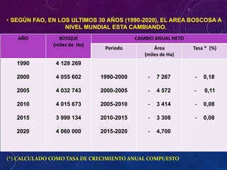 • SEGÚN FAO, EN LOS ULTIMOS 30 AÑOS (1990-2020), EL AREA BOSCOSA A
NIVEL MUNDIAL ESTA CAMBIANDO.
•
AÑO BOSQUE
(miles de Ha)
CAMBIO ANUAL NETO
Periodo Área
(miles de Ha)
Tasa * (%)
1990
2000
2005
2010
2015
2020
4 128 269
4 055 602
4 032 743
4 015 673
3 999 134
4 060 000
1990-2000
2000-2005
2005-2010
2010-2015
2015-2020
- 7 267
- 4 572
- 3 414
- 3 308
- 4,700
- 0,18
- 0,11
- 0,08
- 0,08
(*) CALCULADO COMO TASA DE CRECIMIENTO ANUAL COMPUESTO
 