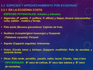 2.3 ESPECIES Y APROVECHAMIENTO POR ECOZONAS
2.3.1 EN LA ECOZONA COSTA
ESPECIES POTENCIALES: Arboles y arbustos
▪ Algarrobo (P. pallida, P. juliflora, P. affinis) y faique (Acacia macracantha) :
Leña, carbón , madera y forraje.
▪ Palo santo (Bursera graveolens): Cajones de fruta.
▪ Hualtaco (Loxopterigium huasango) y Guayacán
(Tabebuia crysanta): Parquet
▪ Sapote (Capparis angulata): Artesanías
▪ Overo (Cordia lutra) y bichayo (Capparis ovalifolia): Palo de escobas y
controla dunas.
▪ Otras: Palo verde, porotillo, pasallo, ceibo, laurel, Charán, taya o tara
TIPO BOSQUES: B° seco de colinas, B° seco tipo sabana y B° seco
de montañas.
 