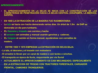 APROVECHAMIENTO:
• EL APROVECHAMIENTO EN LA SELVA SE INICIA CON LA CONSTRUCCIÓN DE LAS
CARRETERAS DE PENETRACIÓN HACIA LA SELVA CENTRAL (OXAPAMPA, LA MERCED,
SATIPO).
• EN 1950 LA EXTRACCIÓN DE LA MADERA FUE RUDIMENTARIA:
- La tala se hacia con hacha demorando varios días. Un árbol de 1.5m de DAP se
demoraba un día para tumbarlo.
- EL Desrame y trozado con corvina y hacha
- El arrastre con animales y manual usando ganchos y cadenas.
- EL Carguío al camión en forma manual, ayudándose con corrediza de
madera.
• ENTRE 1965 Y 1970 EMPIEZAN LA EXTRACCIÓN EN SELVA BAJA:
- La tala, el desrame y el trozado con motosierra
- El arrastre lo llevan por un canal de madera o con tecles o winches.
- El transporte en época de lluvia, mayormente por vía fluvial
• ACTUALMENTE EL APROVECHAMIENTO ES CASI MECANIZADO, ESPECIALMENTE
EN LA EXTRACCION DE TROZAS CON TRACTORES FORESTALES, CARGADOR
FRONTAL, CAMIONES TRONQUEROS.
 