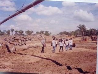 SESION 1 - APROVECHAMIENTO FORESTAL .pdf