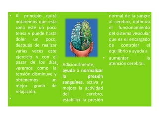 • Al principio quizá
notaremos que esta
zona esté un poco
tensa y puede hasta
doler un poco,
después de realizar
varias veces este
ejercicio y con el
pasar de los días
veremos como la
tensión disminuye y
obtenemos un
mejor grado de
relajación.
•
• Adicionalmente,
ayuda a normalizar
la presión
sanguínea, activa y
mejora la actividad
del cerebro,
estabiliza la presión
normal de la sangre
al cerebro, optimiza
el funcionamiento
del sistema vesicular
que es el encargado
de controlar el
equilibrio y ayuda a
• aumentar la
atención cerebral.
 