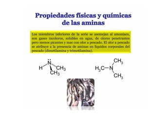 Los miembros inferiores de la serie se asemejan al amoníaco,
son gases incoloros, solubles en agua, de olores penetrantes
pero menos picantes y mas con olor a pescado. El olor a pescado
se atribuye a la presencia de aminas en líquidos corporales del
pescado (dimetilamina y trimetilamina).
 