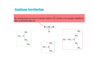 Se caracterizan por tener el grupo amino (-N-) unido a tres grupos alquílicos
(R); su fórmula tipo es:
 
