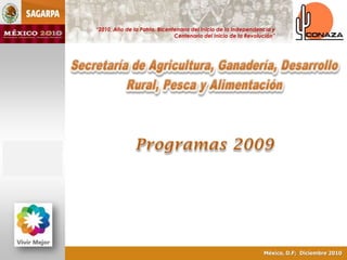 Programas 2009 