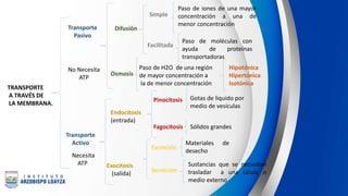 TRANSPORTE
A TRAVÉS DE
LA MEMBRANA.
Transporte
Pasivo
Transporte
Activo
No Necesita
ATP
Necesita
ATP
Difusión
Simple
Facilitada
Osmosis
Endocitosis
(entrada)
Exocitosis
(salida)
Pinocitosis
Fagocitosis
Excreción
Secreción
Paso de iones de una mayor
concentración a una de
menor concentración
Paso de moléculas con
ayuda de proteínas
transportadoras
Paso de H2O de una región
de mayor concentración a
la de menor concentración
Gotas de liquido por
medio de vesículas
Sólidos grandes
Materiales de
desecho
Sustancias que se necesitan
trasladar a una célula o
medio externo
Hipotónica
Hipertónica
Isotónica
 