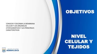 OBJETIVOS
CONOCER Y DESCRIBIR LA MEMBRANA
CELULAR Y LOS ORGANELOS
CITOPLASMATICOS Y SUS PRINCIPALES
CARACTERISTICAS
NIVEL
CELULAR Y
TEJIDOS
 