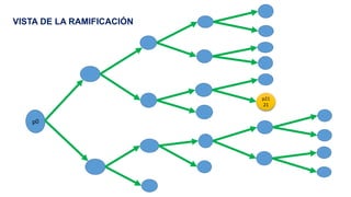p21
21
VISTA DE LA RAMIFICACIÓN
 