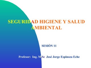 SEGURIDAD HIGIENE Y SALUD
       AMBIENTAL


                    SESIÓN 11


   Profesor: Ing. M.Sc. José Jorge Espinoza Eche
 