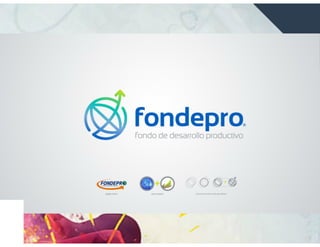 Introducción Gestión Mipyme