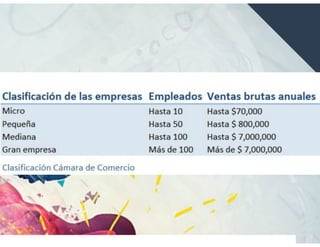 Introducción Gestión Mipyme