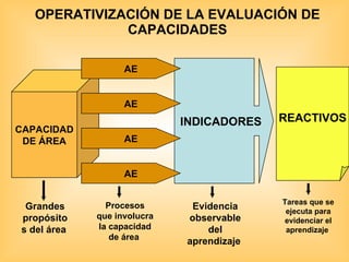 OPERATIVIZACIÓN DE LA EVALUACIÓN DE CAPACIDADES INDICADORES CAPACIDAD DE ÁREA AE AE AE AE REACTIVOS Grandes propósitos del área  Procesos que involucra la capacidad de área  Evidencia observable del aprendizaje  Tareas que se ejecuta para evidenciar el aprendizaje  