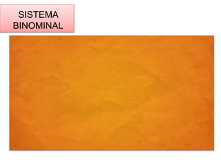 SISTEMA 
BINOMINAL 
 