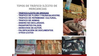 - TRÁFICO ILÍCITO DE DROGAS.
- TRÁFICO DE FLORA Y FAUNASILVESTRE.
- TRÁFICO DE PATRIMONIO CULTURAL.
- TRÁFICO DE ARMAS.
- DINERO NO DECLARADO.
- PASAPORTES FALSOS.
- DERECHOS DE AUTOR,
- FALSIFICACIÓN DE DOCUMENTOS
- OTROS ILÍCITOS
 