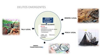 LEY GENERAL DE
ADUANAS
LEY DE DELITOS
ADUANEROS
CONTROL ADUANERO
DELITOS:
- Contrabando
-Defraudación de rentas de aduana
- Receptación aduanera
- Financiamiento
Mercancías
-Tráfico De
Restringidas y
Prohibidas.
TALA ILEGAL
MINERÍA ILEGAL
PESCA ILEGAL
DINERO
TRANSFORONTERIZO
 