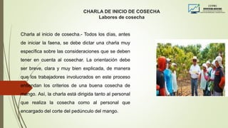 CHARLA DE INICIO DE COSECHA
Labores de cosecha
Charla al inicio de cosecha.- Todos los días, antes
de iniciar la faena, se debe dictar una charla muy
específica sobre las consideraciones que se deben
tener en cuenta al cosechar. La orientación debe
ser breve, clara y muy bien explicada, de manera
que los trabajadores involucrados en este proceso
entiendan los criterios de una buena cosecha de
mango. Así, la charla está dirigida tanto al personal
que realiza la cosecha como al personal que
encargado del corte del pedúnculo del mango.
 