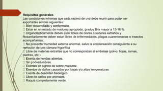 Requisitos generales
Las condiciones mínimas que cada racimo de uva debe reunir para poder ser
exportadas son las siguientes:
Bien desarrollado y conformado.
Estar en un estado de madurez apropiado, grados Brix mayor a 15-16 %.
Organolépticamente deben estar libres de olores o sabores extraños y
fitosanitariamente deben estar libres de enfermedades, plagas cuarentenarias o insectos
acompañantes.
No presentar humedad externa anormal, salvo la condensación consiguiente a su
remoción de una cámara frigorífica
Libre de materias extrañas que no correspondan al embalaje (polvo, hojas, ramas,
piedras, etc.)
Exenta de heridas abiertas.
Sin podredumbres.
Exentas de signos de sobre-madurez.
Exentos de daños causados por bajas y/o altas temperaturas
Exenta de desorden fisiológico.
Libre de daños por animales.
Raquis completamente verde.
 