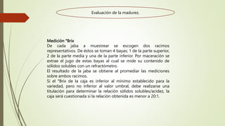Medición °Brix
De cada jaba a muestrear se escogen dos racimos
representativos. De éstos se toman 4 bayas; 1 de la parte superior,
2 de la parte media y una de la parte inferior. Por maceración se
extrae el jugo de estas bayas al cual se mide su contenido de
sólidos solubles con un refractómetro.
El resultado de la jaba se obtiene al promediar las mediciones
sobre ambos racimos.
Si el °Brix de la caja es inferior al mínimo establecido para la
variedad, pero no inferior al valor umbral, debe realizarse una
titulación para determinar la relación sólidos solubles/acidez, la
caja será cuestionada si la relación obtenida es menor a 20:1.
Evaluación de la madurez.
 