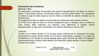 Evaluación de la madurez.
Medición °Brix
De cada jaba a muestrear se escogen dos racimos representativos. De éstos se toman 4
bayas; 1 de la parte superior, 2 de la parte media y una de la parte inferior. Por maceración
se extrae el jugo de estas bayas al cual se mide su contenido de sólidos solubles con un
refractómetro.
El resultado de la jaba se obtiene al promediar las mediciones sobre ambos racimos.
Si el °Brix de la caja es inferior al mínimo establecido para la variedad, pero no inferior al
valor umbral, debe realizarse una titulación para determinar la relación sólidos
solubles/acidez, la caja será cuestionada si la relación obtenida es menor a 20:1.
Titulación
Colocar en un matraz aforado 10 ml de jugo colado obtenido por la maceración de bayas
provenientes en igual número desde los 2 racimos muestreados y agregar 3 a 4 gotas de
fenolftaleína al 1%. Desde una bureta agregar gota a gota hidróxido de sodio 0,1N agitando
permanentemente el matraz hasta obtener una coloración rosada estable y anotar el gasto.
Calculo de la acidez:
 