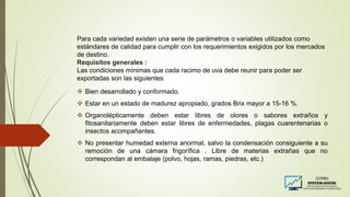 Para cada variedad existen una serie de parámetros o variables utilizados como
estándares de calidad para cumplir con los requerimientos exigidos por los mercados
de destino.
Requisitos generales :
Las condiciones mínimas que cada racimo de uva debe reunir para poder ser
exportadas son las siguientes:
 Bien desarrollado y conformado.
 Estar en un estado de madurez apropiado, grados Brix mayor a 15-16 %.
 Organolépticamente deben estar libres de olores o sabores extraños y
fitosanitariamente deben estar libres de enfermedades, plagas cuarentenarias o
insectos acompañantes.
 No presentar humedad externa anormal, salvo la condensación consiguiente a su
remoción de una cámara frigorífica . Libre de materias extrañas que no
correspondan al embalaje (polvo, hojas, ramas, piedras, etc.)
 
