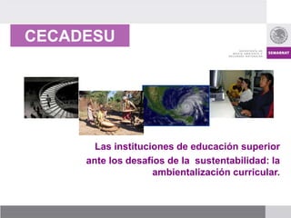CECADESU
Las instituciones de educación superior
ante los desafíos de la sustentabilidad: la
ambientalización curricular.
 