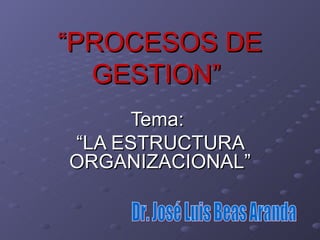“ PROCESOS DE GESTION”   Tema:  “ LA ESTRUCTURA ORGANIZACIONAL” Dr. José Luis Beas Aranda 