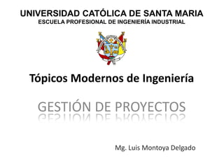 Tópicos Modernos de Ingeniería
GESTIÓN DE PROYECTOS
Mg. Luis Montoya Delgado
UNIVERSIDAD CATÓLICA DE SANTA MARIA
ESCUELA PROFESIONAL DE INGENIERÍA INDUSTRIAL
 
