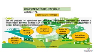COMPONENTES TEMÁTICOS
COMPONENTES DEL ENFOQUE
AMBIENTAL
Son una propuesta de organización para afrontar las problemáticas ambientales para fortalecer la
implementación de buenas prácticas en un contexto de cambio climático y promover una actitud crítica y el
ejercicio de la ciudadanía ambiental responsable.
Educación
en cambio
climático
Educación
en salud
Educación en
biodiversidad
Gestión del
riesgo de
desastres
Educación en
ecoeficiencia
 