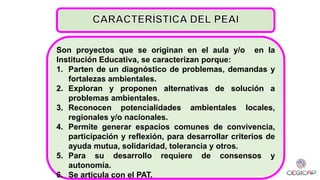 Son proyectos que se originan en el aula y/o en la
Institución Educativa, se caracterizan porque:
1. Parten de un diagnóstico de problemas, demandas y
fortalezas ambientales.
2. Exploran y proponen alternativas de solución a
problemas ambientales.
3. Reconocen potencialidades ambientales locales,
regionales y/o nacionales.
4. Permite generar espacios comunes de convivencia,
participación y reflexión, para desarrollar criterios de
ayuda mutua, solidaridad, tolerancia y otros.
5. Para su desarrollo requiere de consensos y
autonomía.
6. Se articula con el PAT.
 