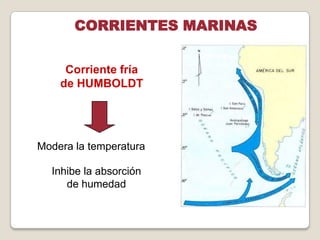 Corriente fría
de HUMBOLDT
Modera la temperatura
Inhibe la absorción
de humedad
CORRIENTES MARINAS
 