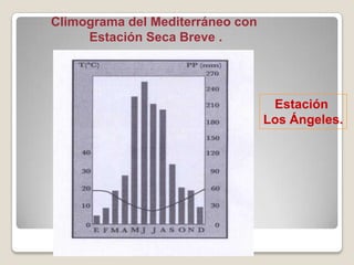 Climograma del Mediterráneo con
Estación Seca Breve .
Estación
Los Ángeles.
 