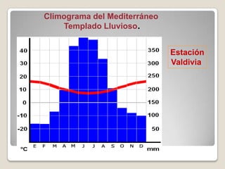 Climograma del Mediterráneo
Templado Lluvioso.
Estación
Valdivia
 