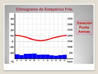 Climograma de Estepárico Frío.
Estación
Punta
Arenas
 
