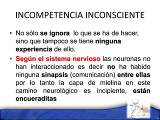 INCOMPETENCIA INCONSCIENTE
• No sólo se ignora lo que se ha de hacer,
sino que tampoco se tiene ninguna
experiencia de ello.
• Según el sistema nervioso las neuronas no
han interaccionado es decir no ha habido
ninguna sinapsis (comunicación) entre ellas
por lo tanto la capa de mielina en este
camino neurológico es incipiente, están
encueraditas
 