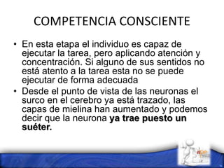 COMPETENCIA CONSCIENTE
• En esta etapa el individuo es capaz de
ejecutar la tarea, pero aplicando atención y
concentración. Si alguno de sus sentidos no
está atento a la tarea esta no se puede
ejecutar de forma adecuada
• Desde el punto de vista de las neuronas el
surco en el cerebro ya está trazado, las
capas de mielina han aumentado y podemos
decir que la neurona ya trae puesto un
suéter.
 