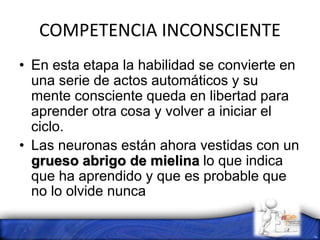 COMPETENCIA INCONSCIENTE
• En esta etapa la habilidad se convierte en
una serie de actos automáticos y su
mente consciente queda en libertad para
aprender otra cosa y volver a iniciar el
ciclo.
• Las neuronas están ahora vestidas con un
grueso abrigo de mielina lo que indica
que ha aprendido y que es probable que
no lo olvide nunca
 