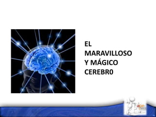 EL
MARAVILLOSO
Y MÁGICO
CEREBR0
 