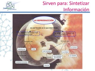 Sirven para: Sintetizar
Información
 