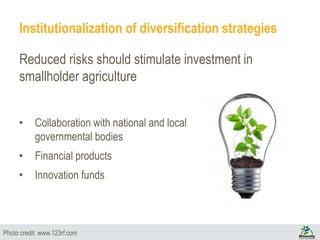 Institutionalization of diversification strategies
Reduced risks should stimulate investment in
smallholder agriculture
• Collaboration with national and local
governmental bodies
• Financial products
• Innovation funds
Photo credit: www.123rf.com
 
