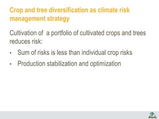 Crop and tree diversification as climate risk
management strategy
Cultivation of a portfolio of cultivated crops and trees
reduces risk:
• Sum of risks is less than individual crop risks
• Production stabilization and optimization
 