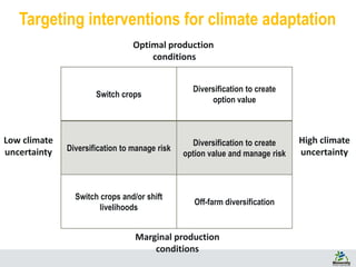 Targeting interventions for climate adaptation
Switch crops
Diversification to create
option value
Diversification to manage risk
Diversification to create
option value and manage risk
Switch crops and/or shift
livelihoods
Off-farm diversification
Optimal production
conditions
Marginal production
conditions
High climate
uncertainty
Low climate
uncertainty
 