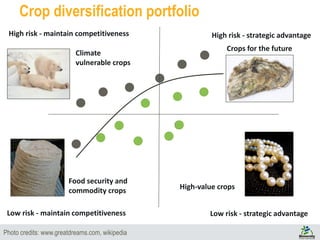 Crop diversification portfolio
Low risk - strategic advantage
High risk - maintain competitiveness
Food security and
commodity crops
Climate
vulnerable crops
Crops for the future
High-value crops
Photo credits: www.greatdreams.com, wikipedia
Low risk - maintain competitiveness
High risk - strategic advantage
 