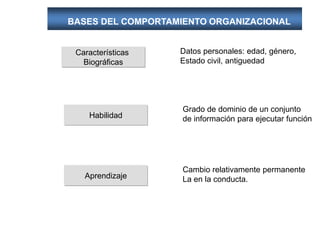 BASES DEL COMPORTAMIENTO ORGANIZACIONAL
Características
Biográficas
Datos personales: edad, género,
Estado civil, antiguedad
Habilidad
Grado de dominio de un conjunto
de información para ejecutar función
Aprendizaje
Cambio relativamente permanente
La en la conducta.
 