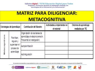 MATRIZ PARA DILIGENCIAR:
METACOGNITIVA
 